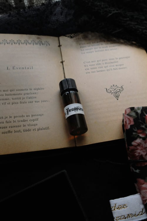 Image of FLEUR DE POUSSIÈRE. PERFUME & POTION SAMPLE ↟ organic anointing oil - incense, patchouli, rose