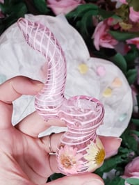 Image 3 of Sweetheart Bubbler Package