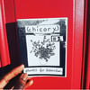 CHICORY ZINE #2: PLANTS FOR LIBERATION 