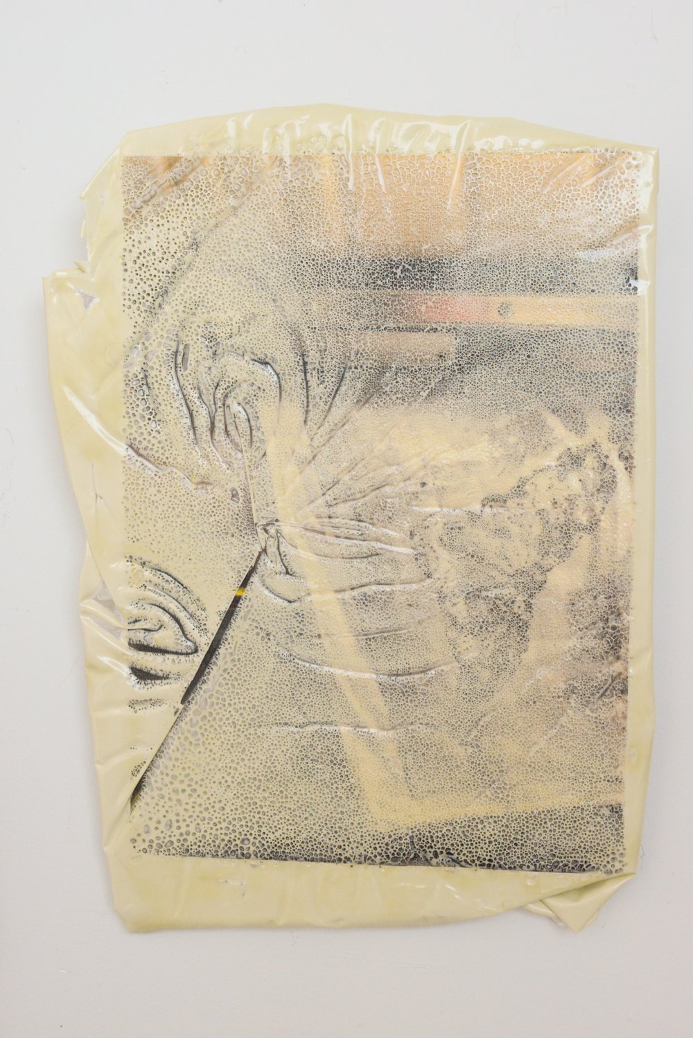 Image of heart wrapped up in clover // sophia cook