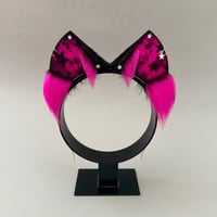 Image 1 of Magenta Star Kitten