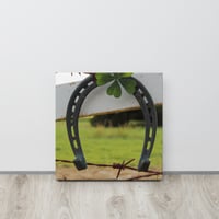 Thin canvas -- Horse Shoe Hanging on Fence