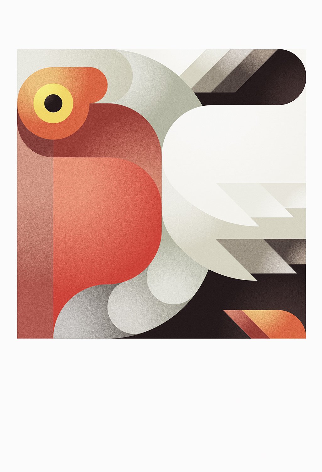 Image of Pelican Squared