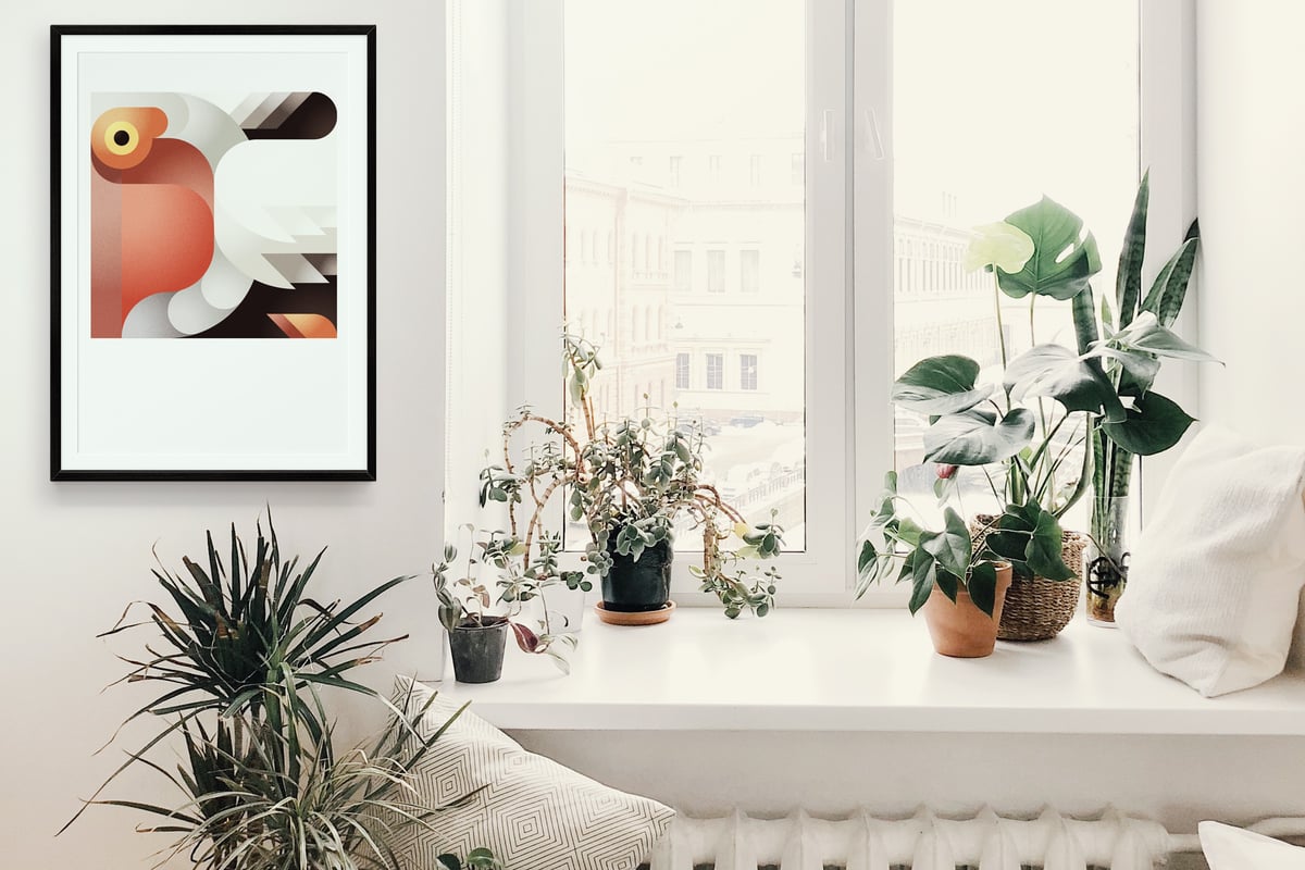 Image of Pelican Squared