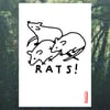 "RATS!" A4 PRINT