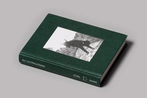 Image of GLI ULTRAUOMINI – Terrestri d’Italia in contatto con altre dimensioni (CTRL books)