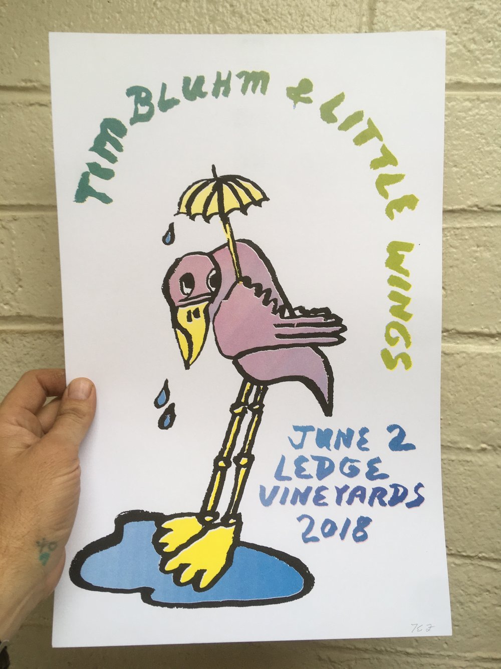 Image of Tim Bluhm & Little Wings Show Poster