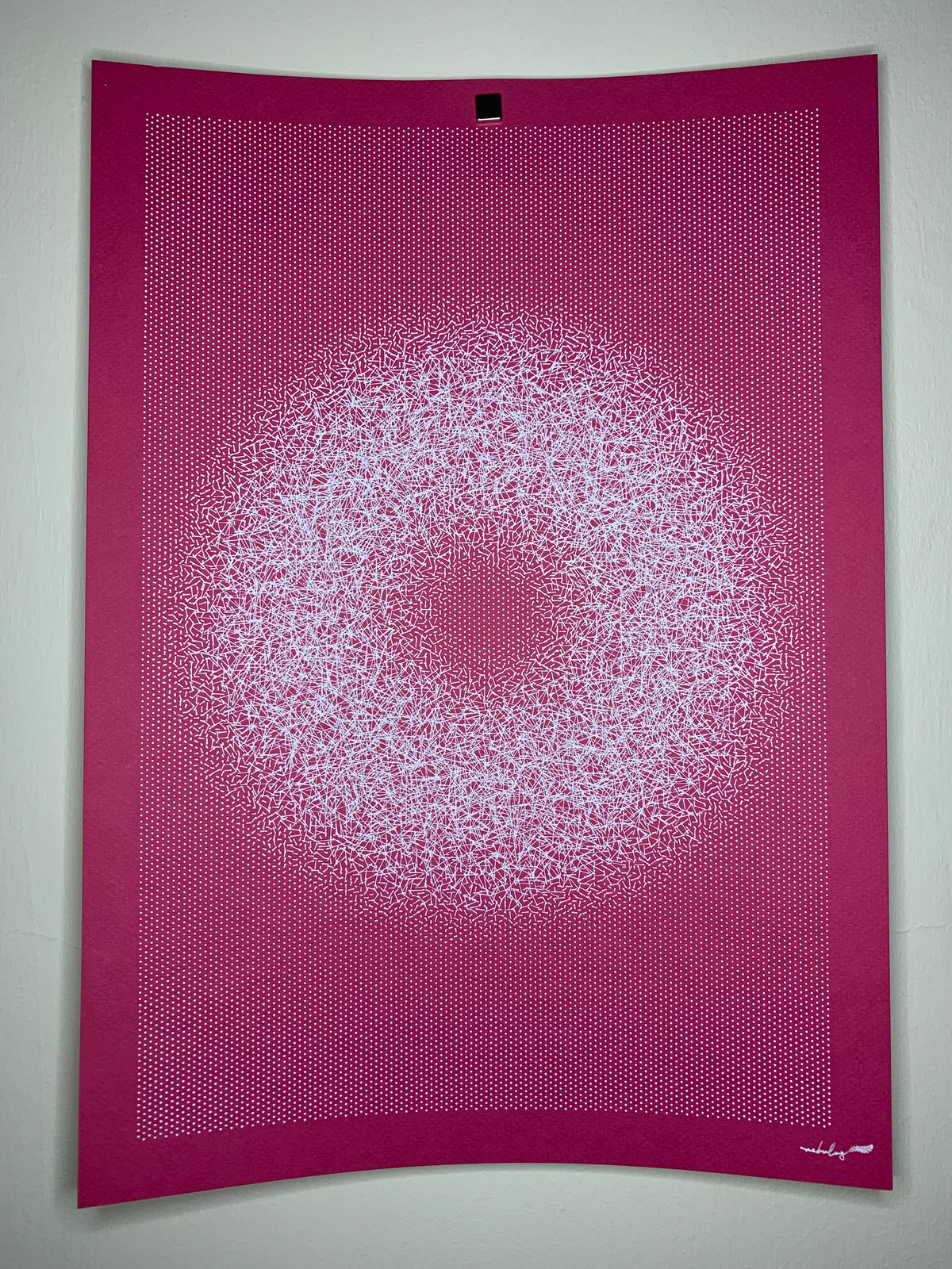 Raspberry Doughnut - 210123-01