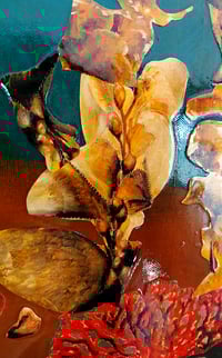 Image 3 of Original Canvas - Spotted Eagle Rays with Kelp and Coral - 30cm x 80cm