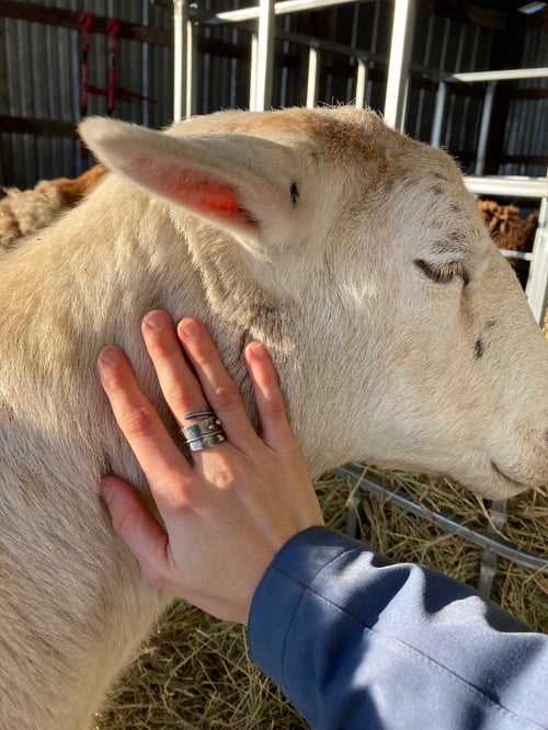 Image of Willow Leaf Gall Ring