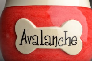 Image of Dog Treat Jar Red and White "Avalanche" by Symmetrical Pottery
