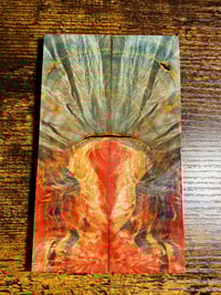 Stabilized/Dyed Scales #001