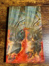 Stabilized/Dyed Scales #002
