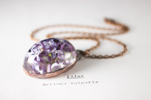 Image of Lilac (Syringa vulgaris) - Copper Plated Necklace #6