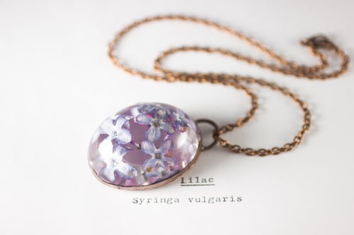 Image of Lilac (Syringa vulgaris) - Copper Plated Necklace #8