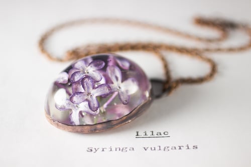 Image of Lilac (Syringa vulgaris) - Copper Plated Necklace #3