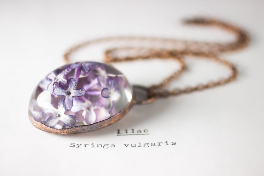 Image of Lilac (Syringa vulgaris) - Copper Plated Necklace #1