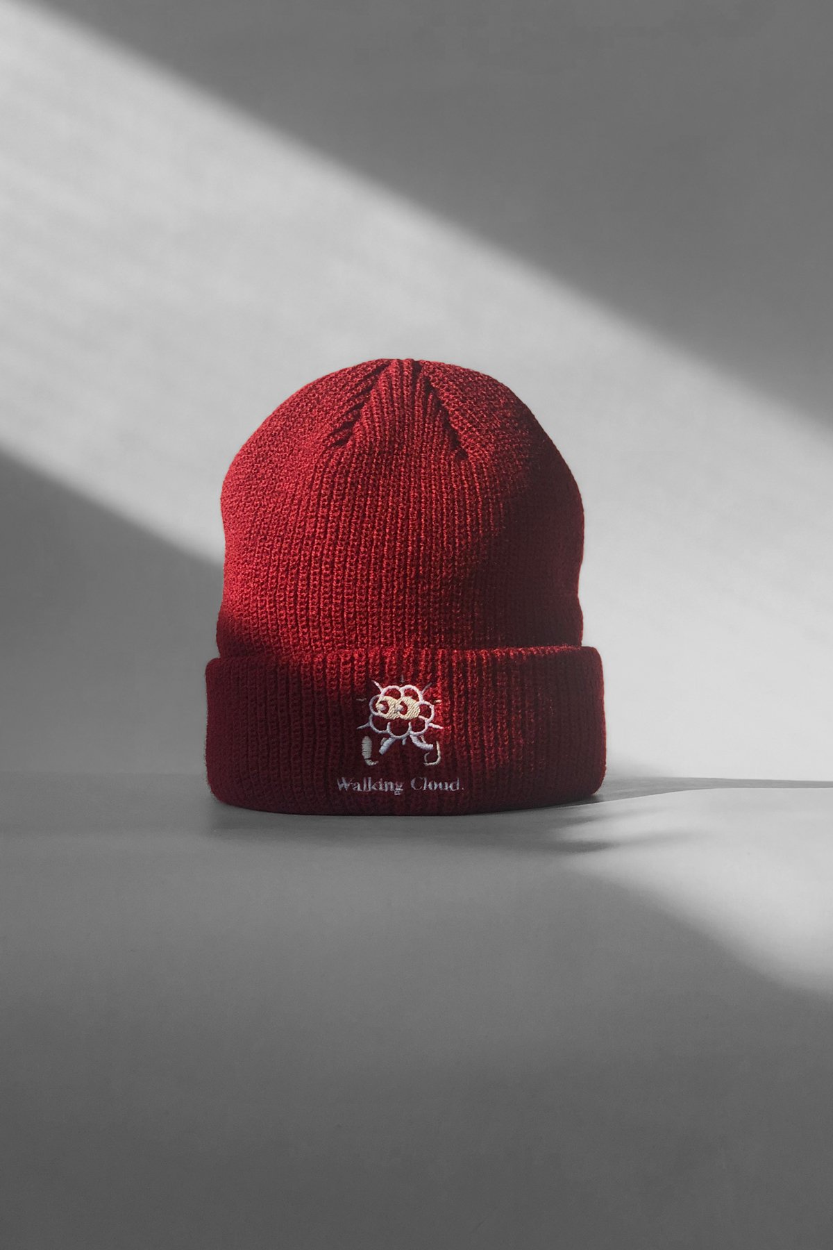 Image of "Walking Cloud" Embroidery Beanie
