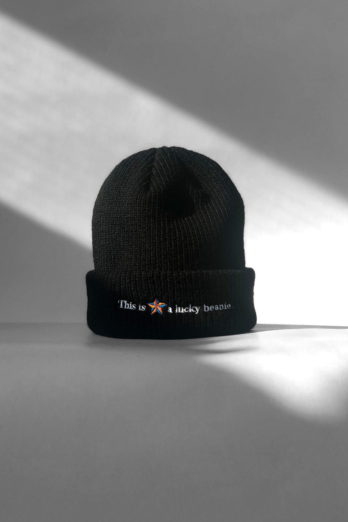 Graphic Embroidery Tee - "This is a Lucky Beanie." Embroidery Beanie