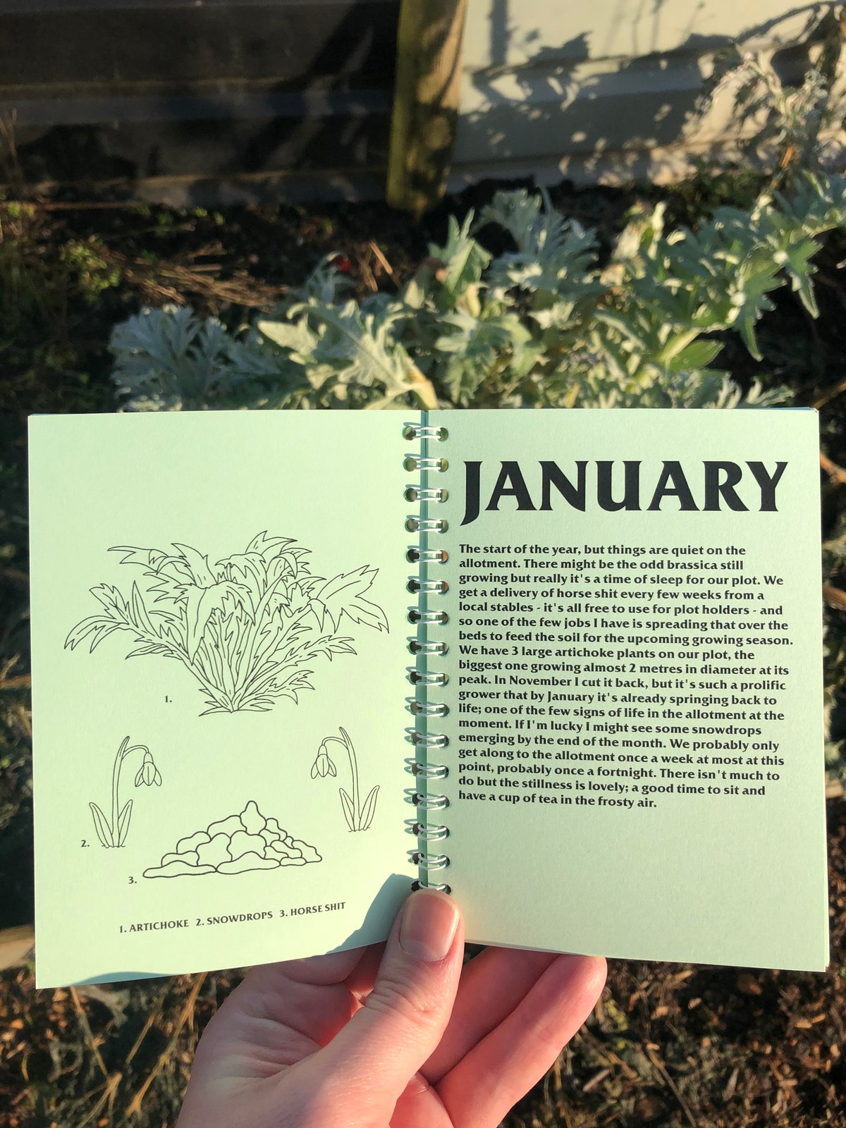 Image of A Year in the Allotment