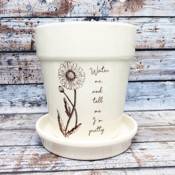Image of Indoor Ceramic Planter with original sketch "Water me and tell me I'm pretty." 