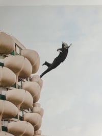 Image 3 of 'Yves's Decline'