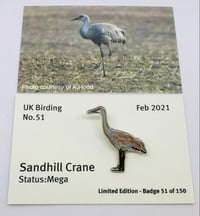 Image 4 of February 2021 UK Birding Pin Releases