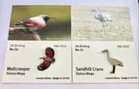 Image 1 of February 2021 UK Birding Pin Releases