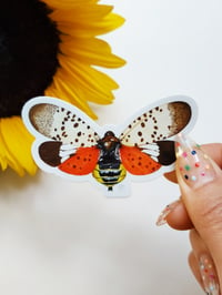 Image 1 of Insect Vinyl Sticker, Lanternfly 