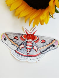 Image 1 of Cecropia Moth XL Bumper sticker, Waterproof and Scratch resistant.