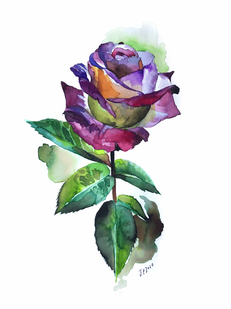 Image of - ‘I GOT A BONE TO PICK LIKE ROSES’ -