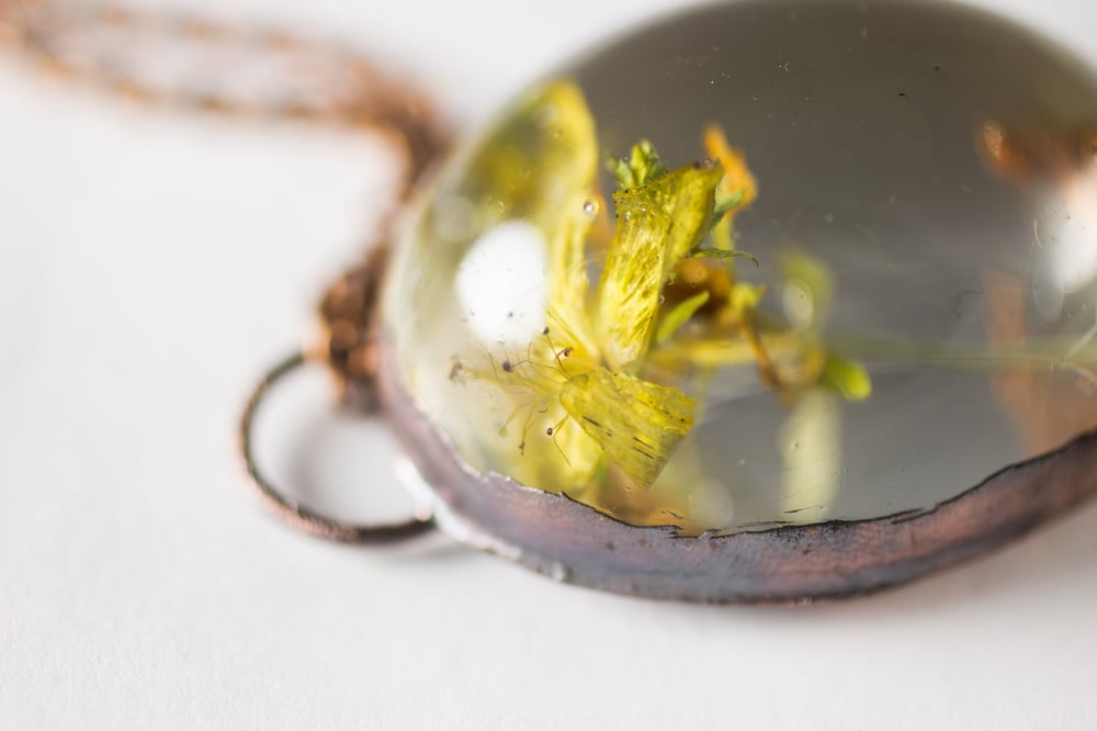 Image of St. John's Wort (Hypericum perforatum) - Copper Plated Necklace #2