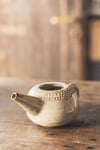 neti pot