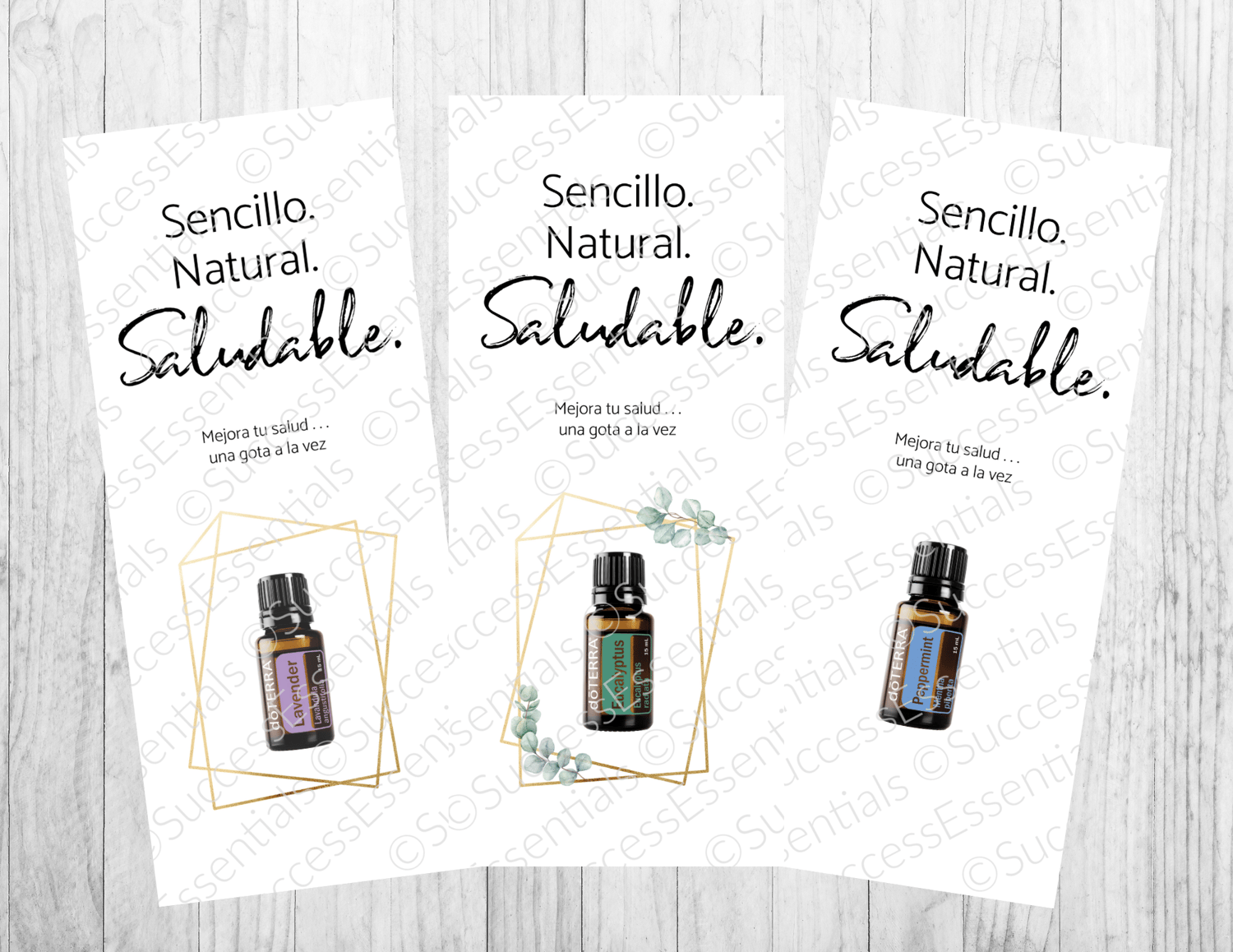Image of Mexico Spanish Trifold -BUNDLE 