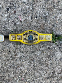 Ultimate I.C championship belt