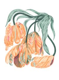 Image 2 of January 2021: tulips