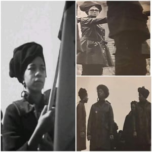 Image of Soft cover - The Afro Set Book