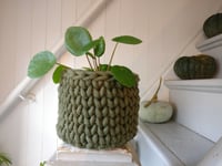 Image 4 of Pot Cosy