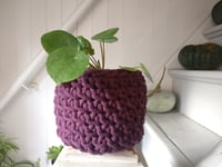 Image 5 of Pot Cosy