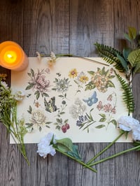 Botanical Collaboration 