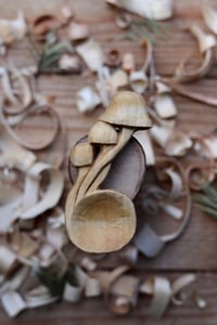 Image 1 of Mini Mushroom coffee scoop