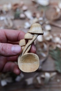 Image 4 of Mini Mushroom coffee scoop
