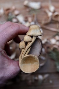 Image 5 of Mini Mushroom coffee scoop