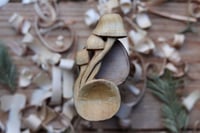 Image 2 of Mini Mushroom coffee scoop