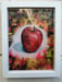 Image of Sean Worrall - "An Apple From Columbia Road" (May 2019) 