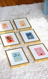 6 Cartoline Botaniche da parete