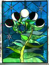 Image 1 of Growth Panel