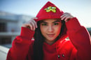 Image 1 of Shiny Star Heart Red Hoodie + Plushie