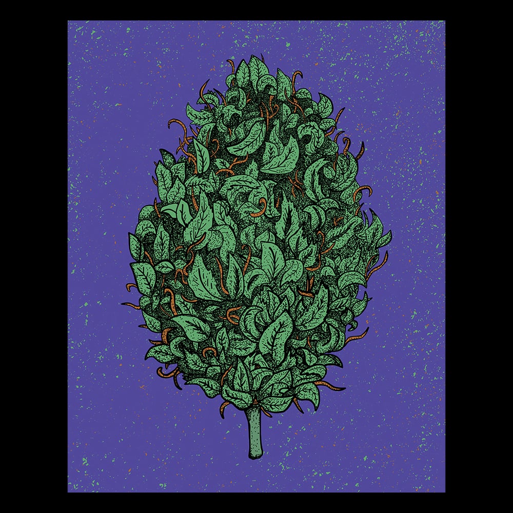 Image of "The Big One" Print