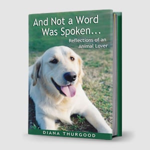 Image of And Not a Word Was Spoken... (Paperback)
